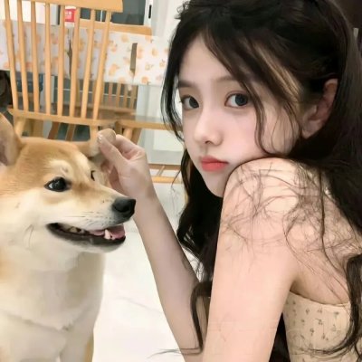 鲨与鲸