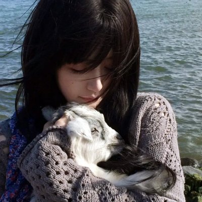 危机倒数